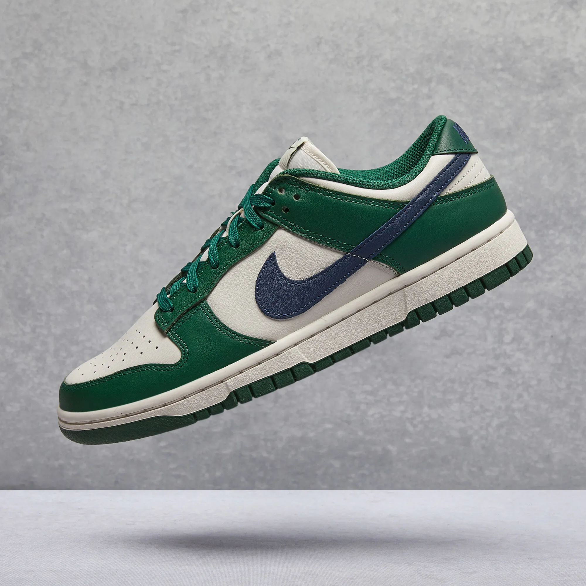 Nike Dunk Low Shoes