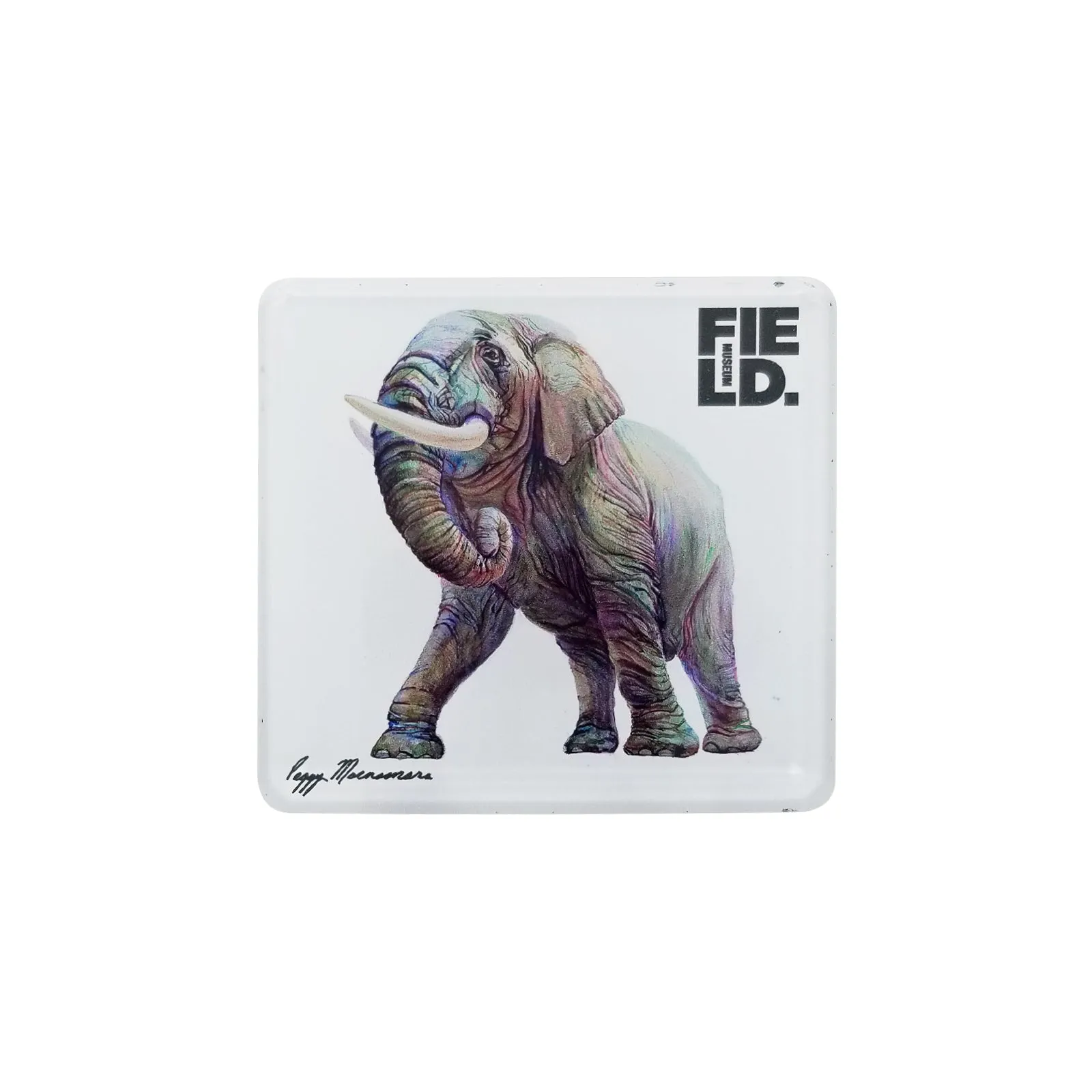 Peggy Macnamara Elephant Magnet