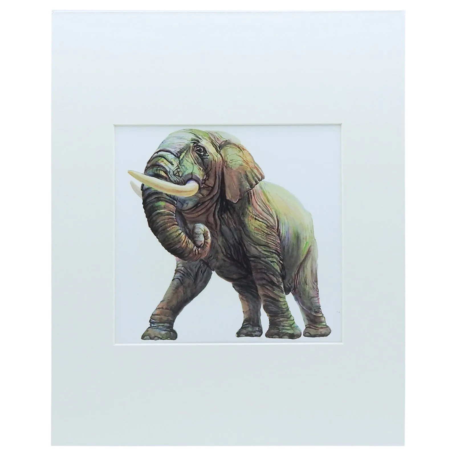 Peggy Macnamara Elephant Print