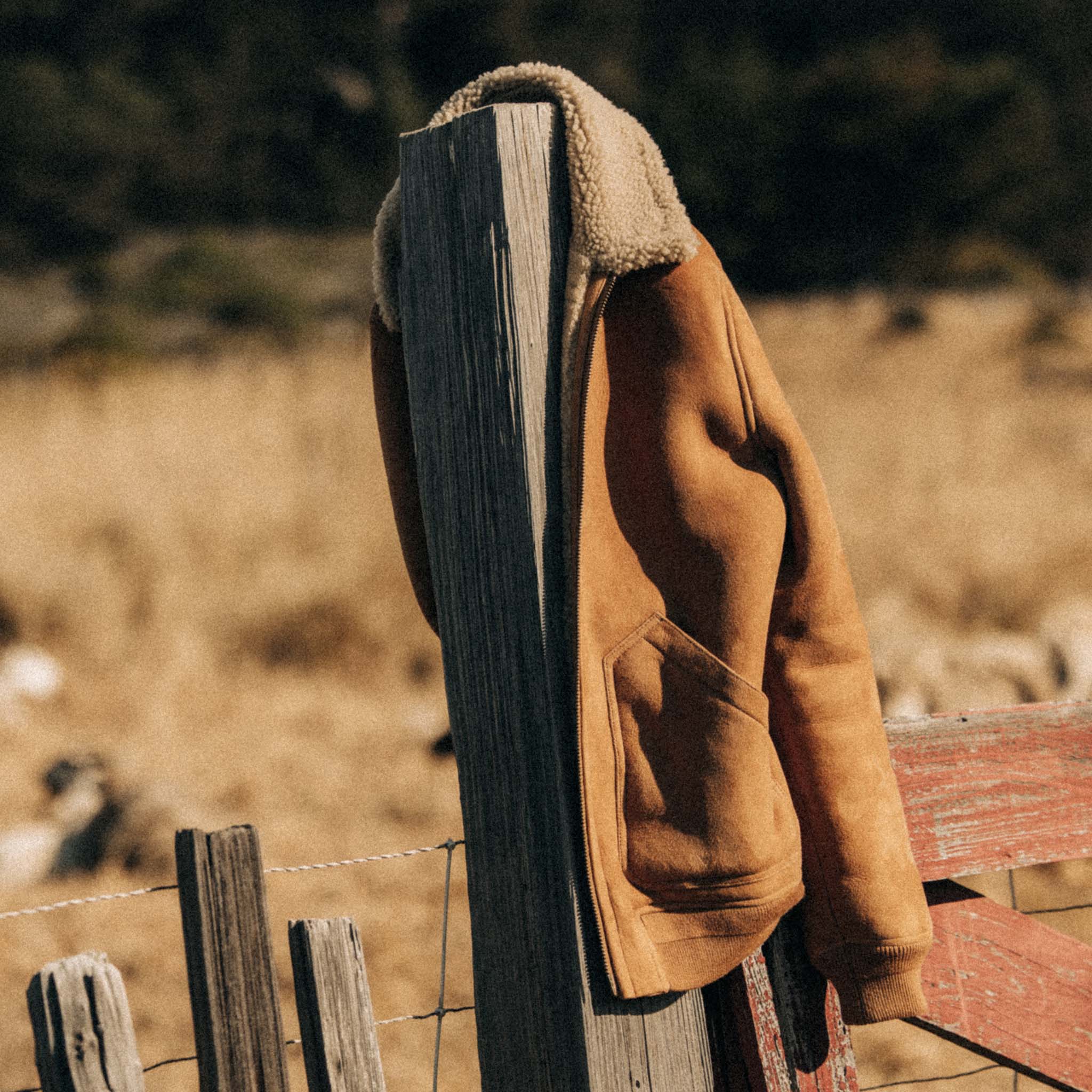 The Wright Jacket in Camel Shearling Leather